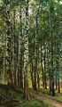 bosque de abedules 1896 paisaje clásico Ivan Ivanovich árboles